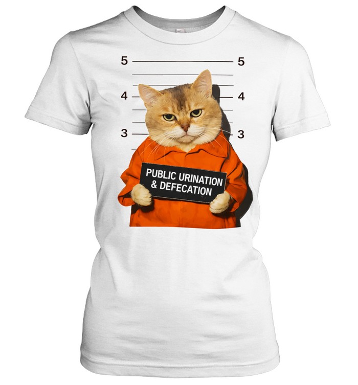 Cat public Urination and defecation Women T-Shirt