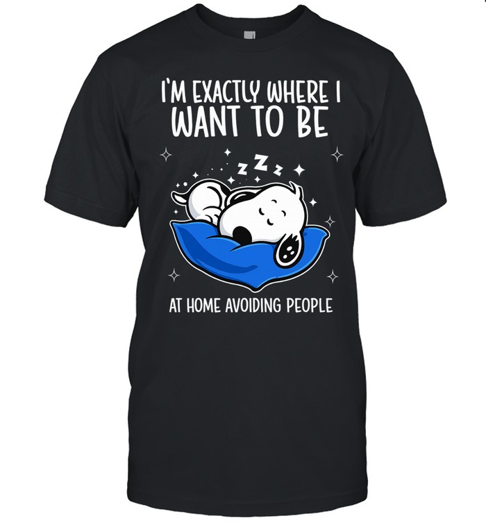 I'm Exactly Where I Want To Be At Home Avoiding People Unisex T-Shirt