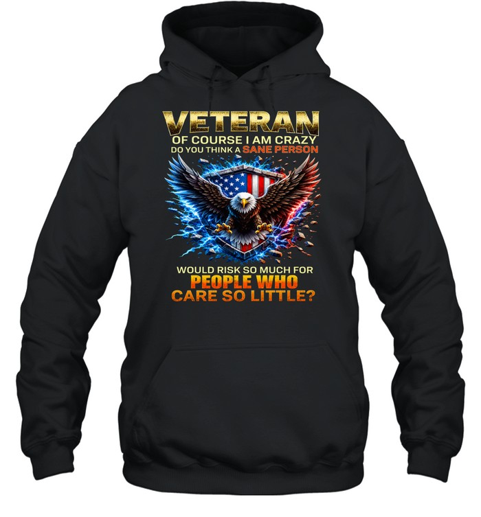 Veteran Of Course I Am Crazy Would Risk So Much For People Hoodie