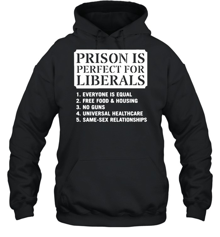 Prison Is Perfect for Liberals Edgy Anti Liberal Meme Hoodie