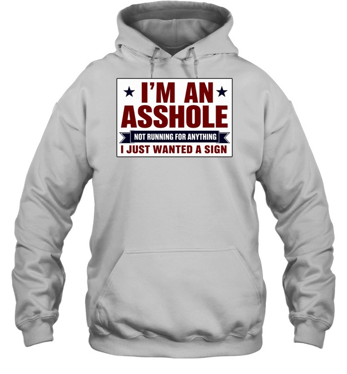 I am an asshole not running for anything I just wanted a sign Hoodie