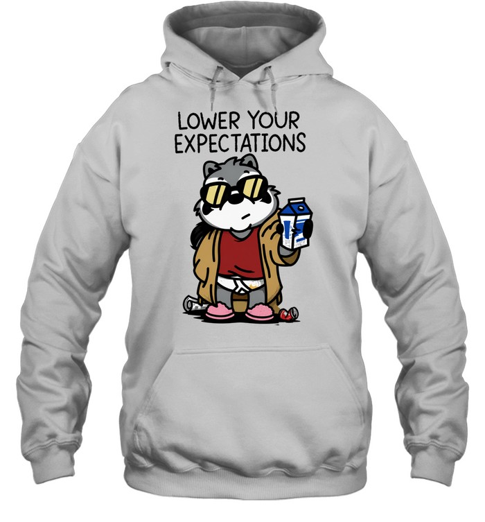 Raccoon lower your expectations Hoodie