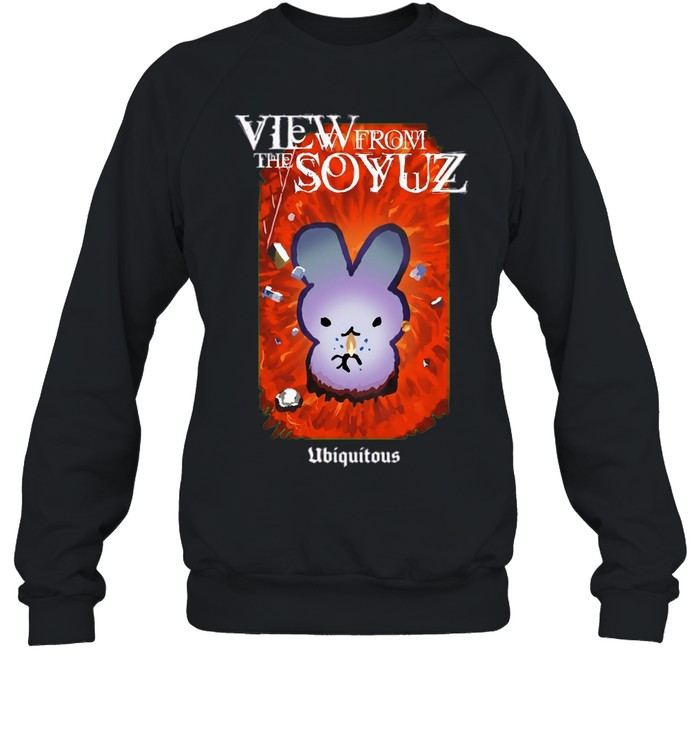 View from the Soyuz Ubiquitous space rabbit Sweatshirt