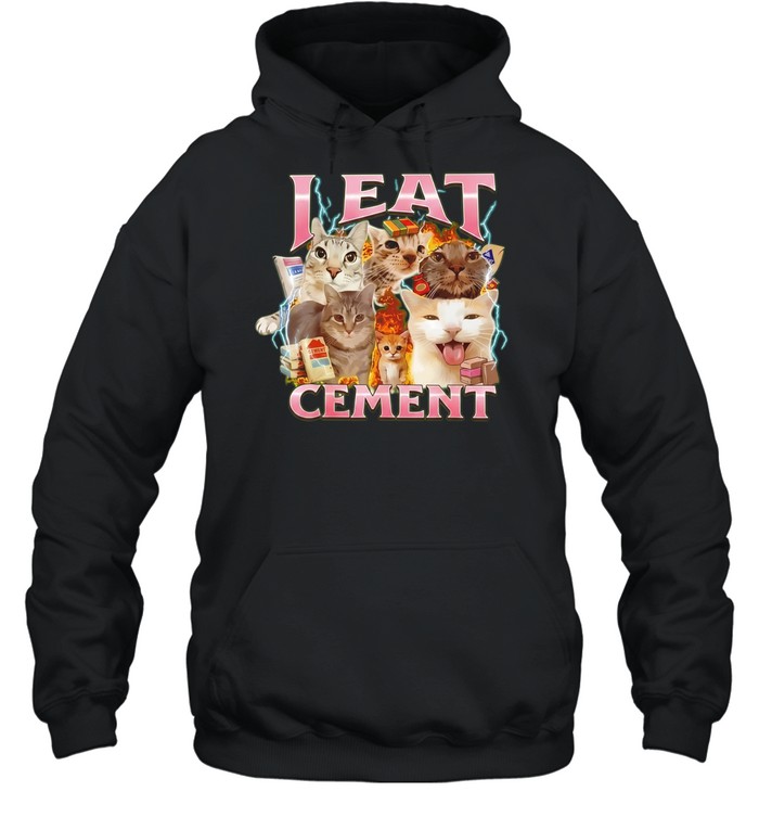 I Eat Cement Cats Internet Humor Fire Lightning Storm Hoodie